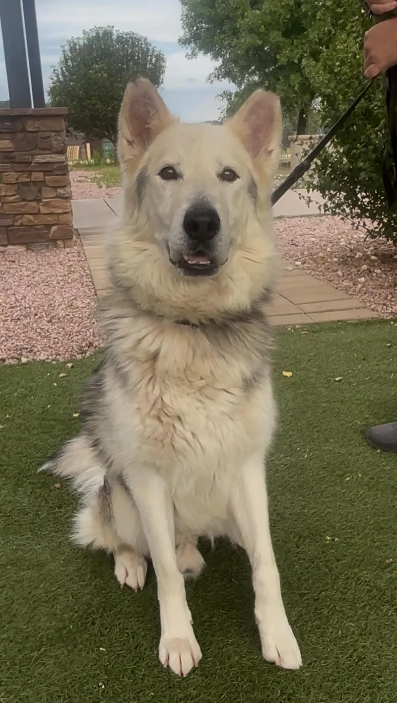 Jackson "Jax"