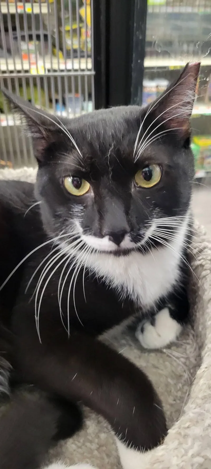 Ernie thumbnail 3