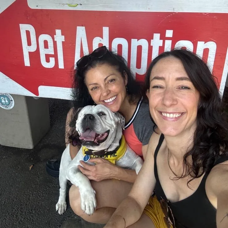 Lollipop thumbnail 2