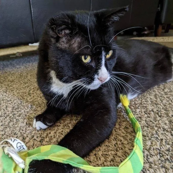 Guinness thumbnail 2