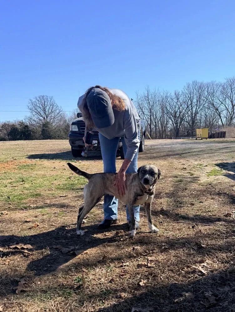 Marley  Well Behaved thumbnail 2