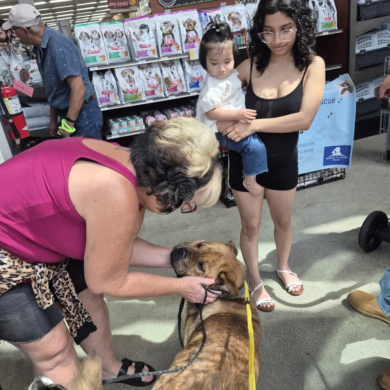 Sweet Canela Bean thumbnail 2