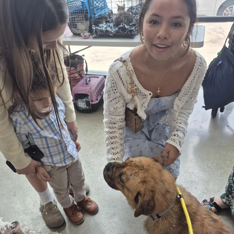 Sweet Canela Bean thumbnail 4