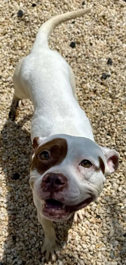 Lexi Love thumbnail 2