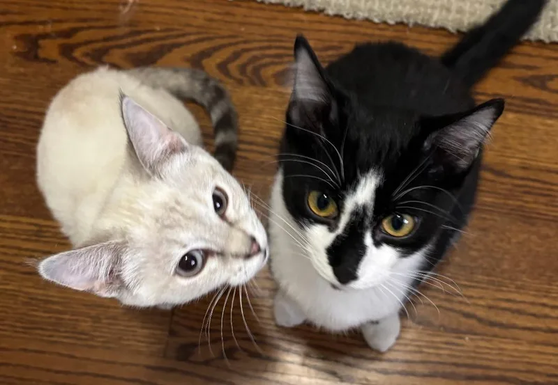 Winston And Sophie thumbnail 3