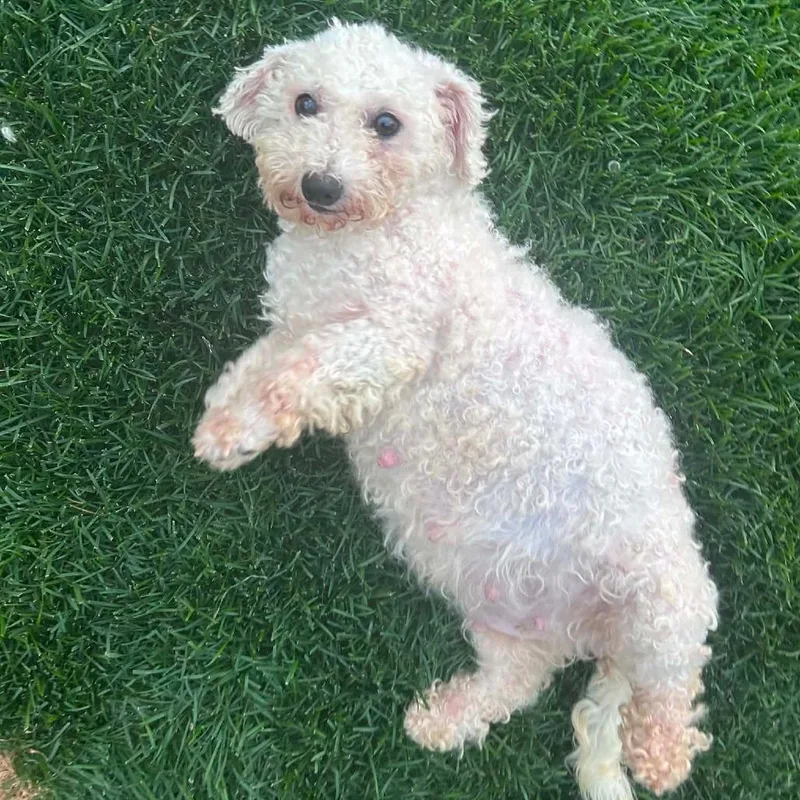 Vera thumbnail 3