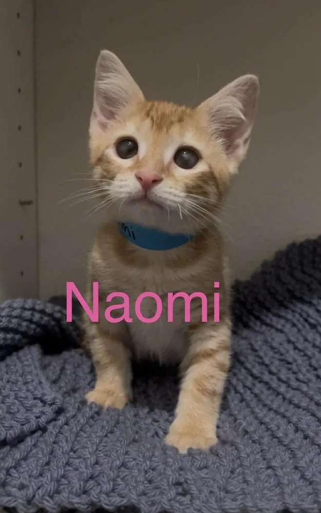 Naomi