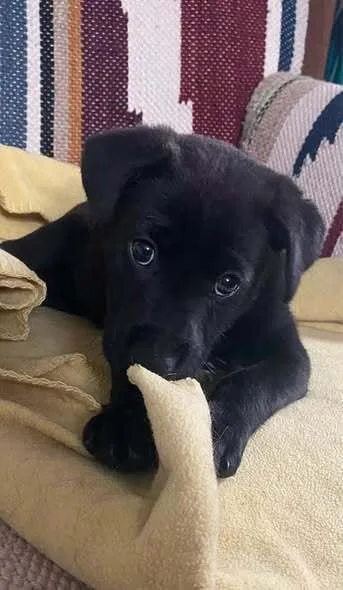 Nigel Jensen thumbnail 2