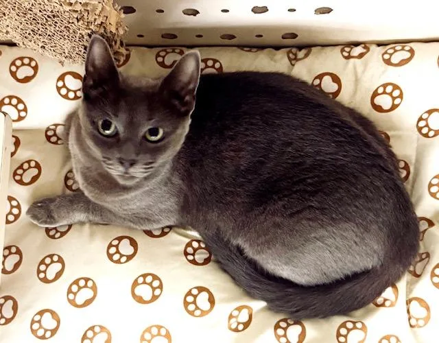 Hannah  bonded with thumbnail 3