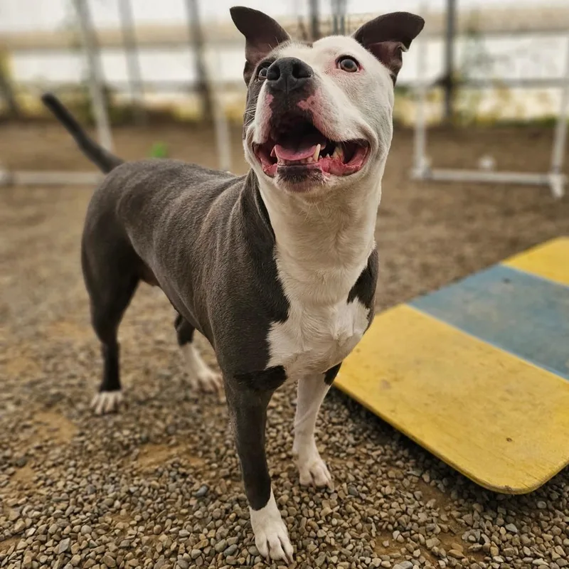 Tuscaloosa thumbnail 2