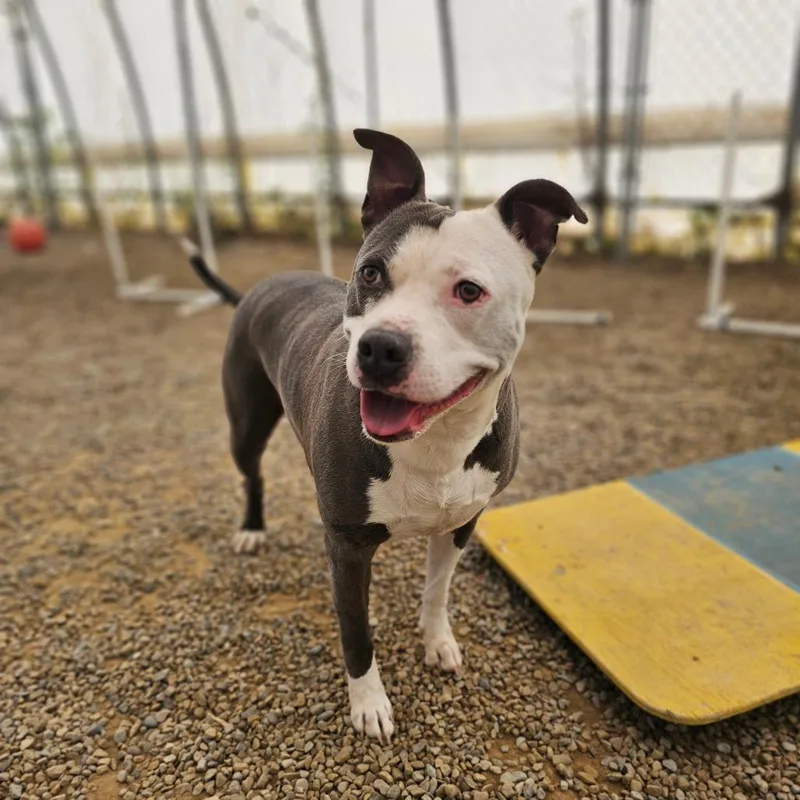 Tuscaloosa thumbnail 3