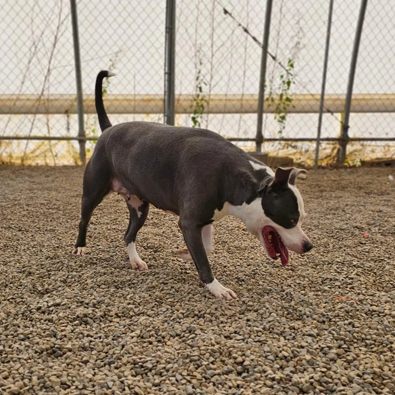 Tuscaloosa thumbnail 4