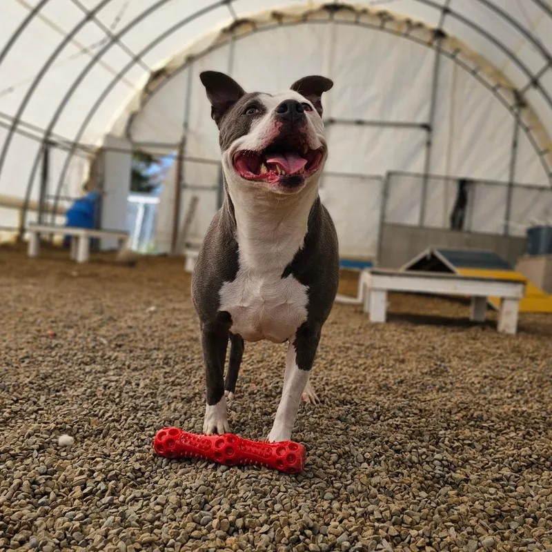 Tuscaloosa thumbnail 5