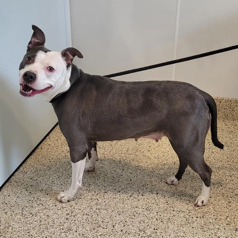 Tuscaloosa thumbnail 6