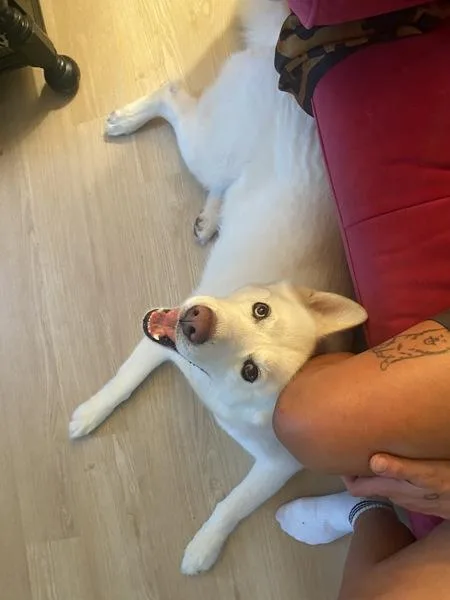 Mila Aka Jenna