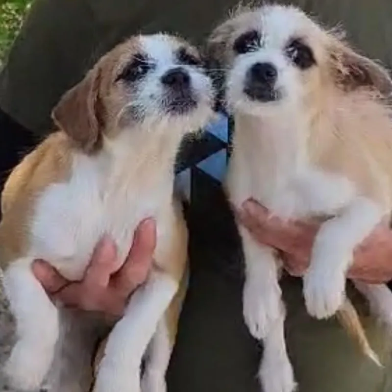 Christy thumbnail 4