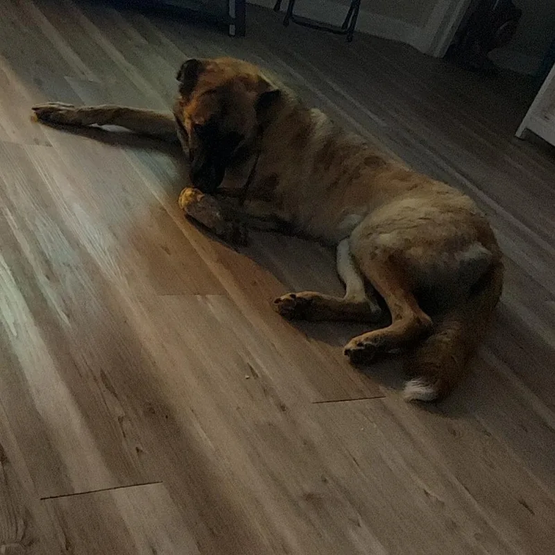 Berlin  Home To thumbnail 2