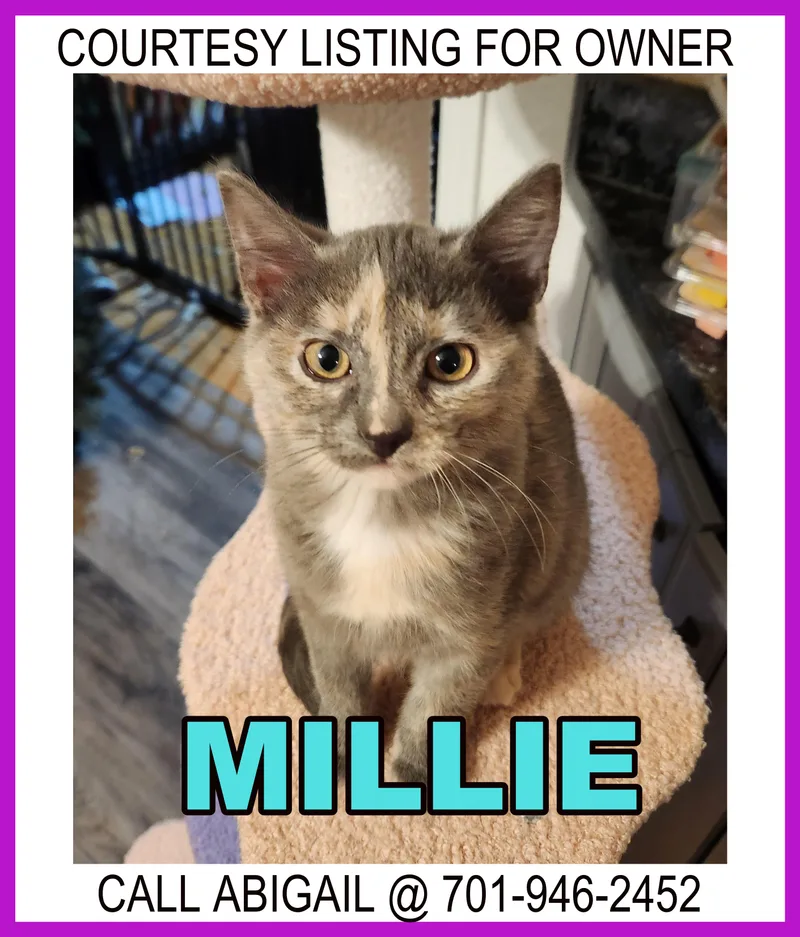 Millie  Courtesy Listing