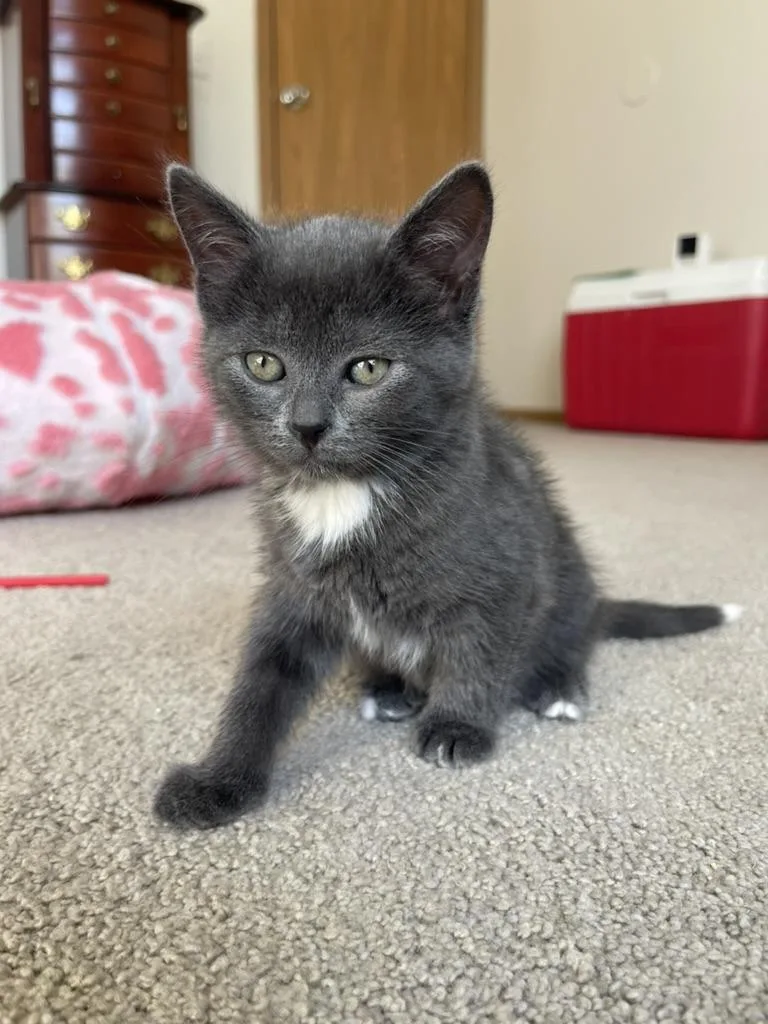 Mercedes thumbnail 3