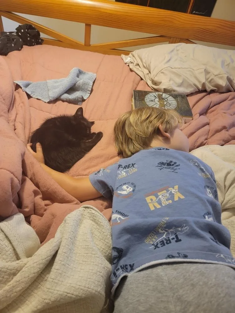 Catdog Jr thumbnail 3