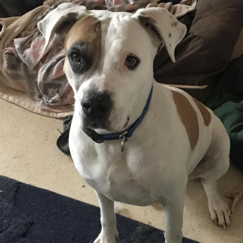 Stickers thumbnail 2