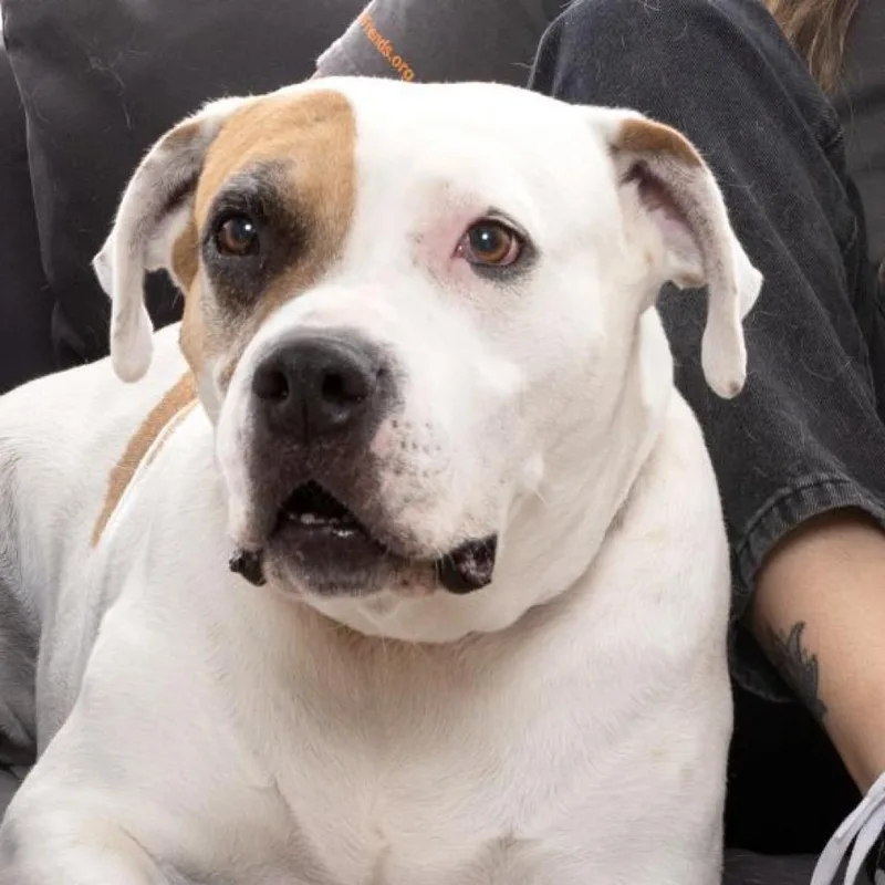 Stickers thumbnail 3