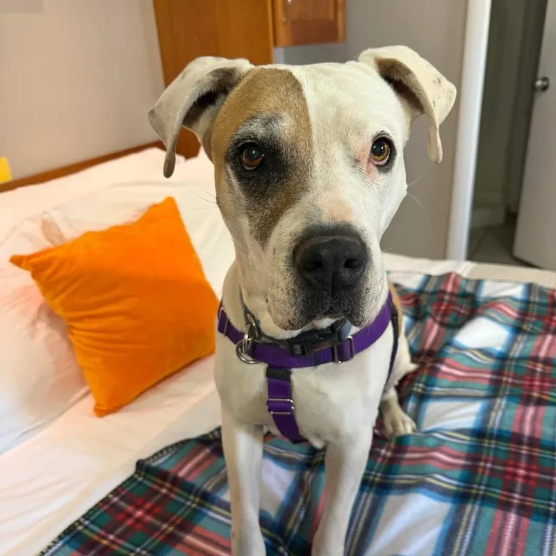 Stickers thumbnail 5