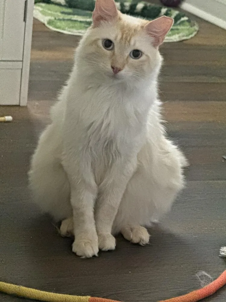 Sebastian