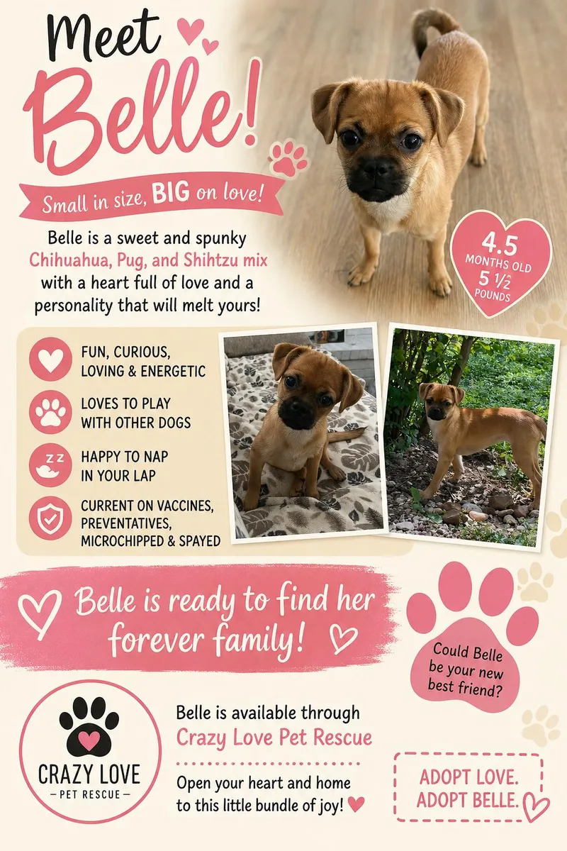 Belle