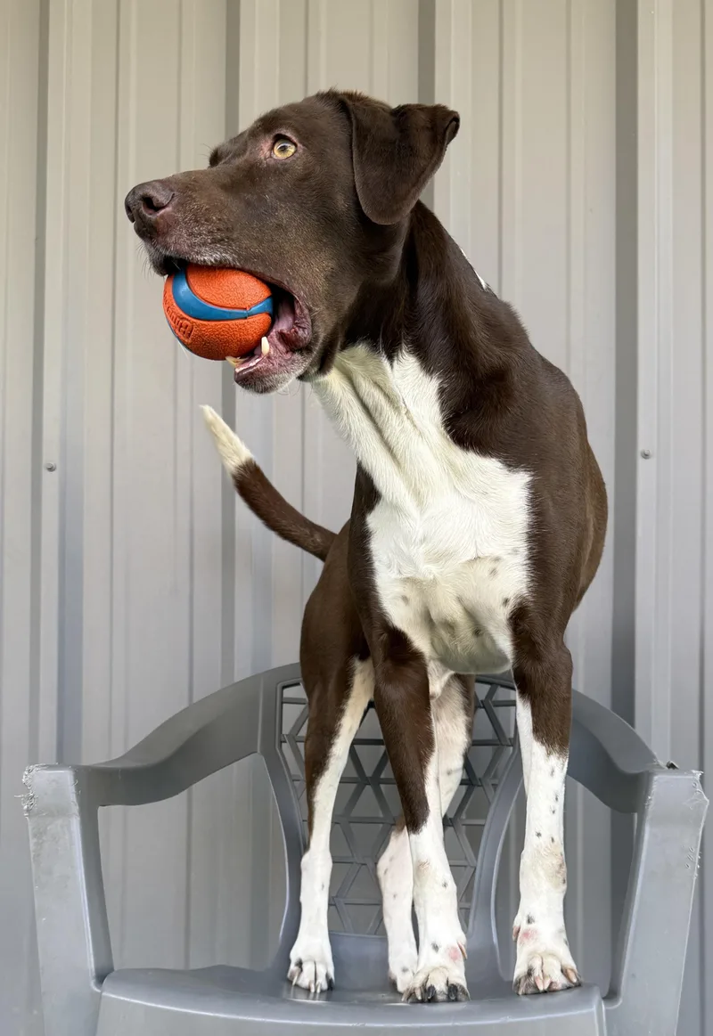 Benjamin thumbnail 2