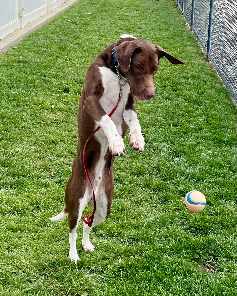 Benjamin thumbnail 3