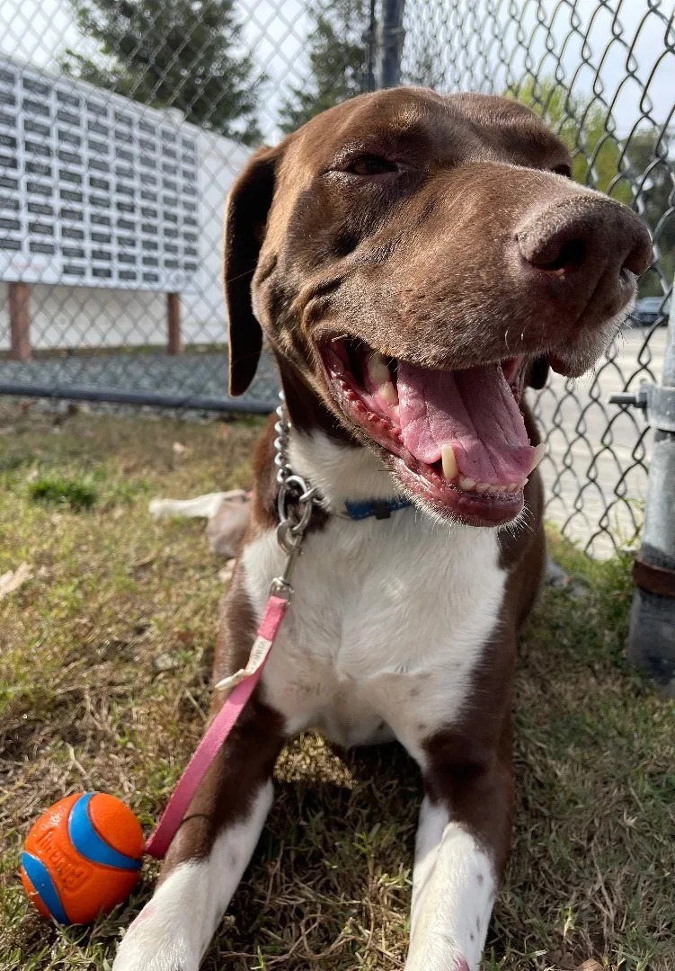 Benjamin thumbnail 4