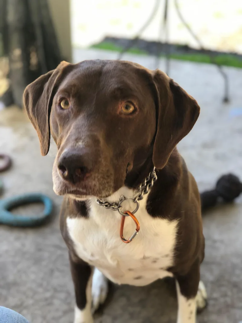 Benjamin thumbnail 5