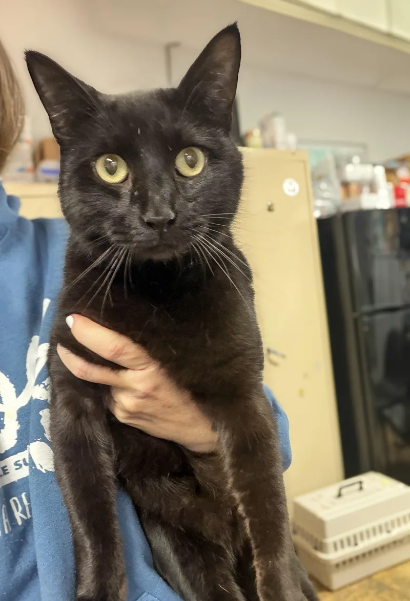 Duffel Bag thumbnail 2