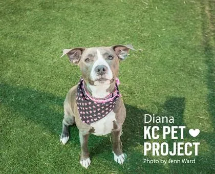Diana thumbnail 2