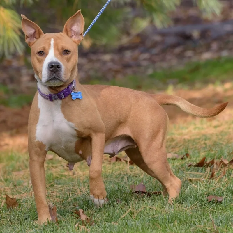 Sunshine thumbnail 2