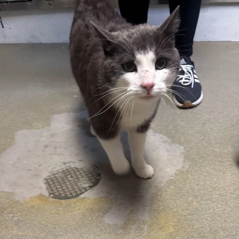 Weather Boy thumbnail 2