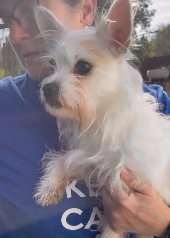 Brodie Baby thumbnail 2