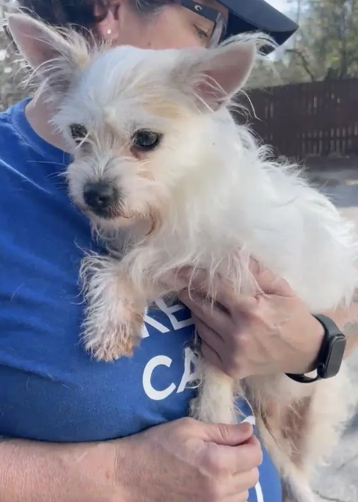 Brodie Baby thumbnail 3