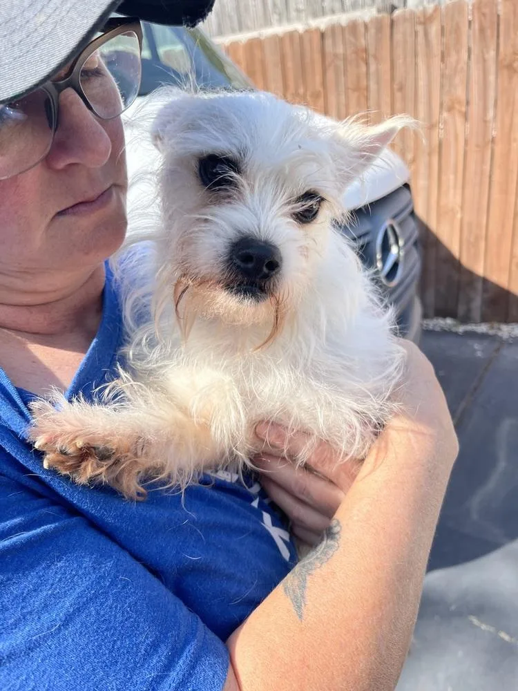 Brodie Baby thumbnail 4