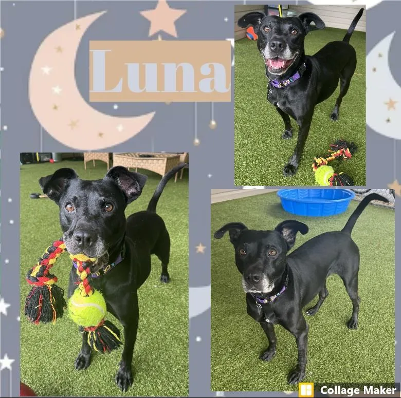 Luna