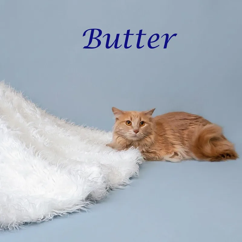 Butter C