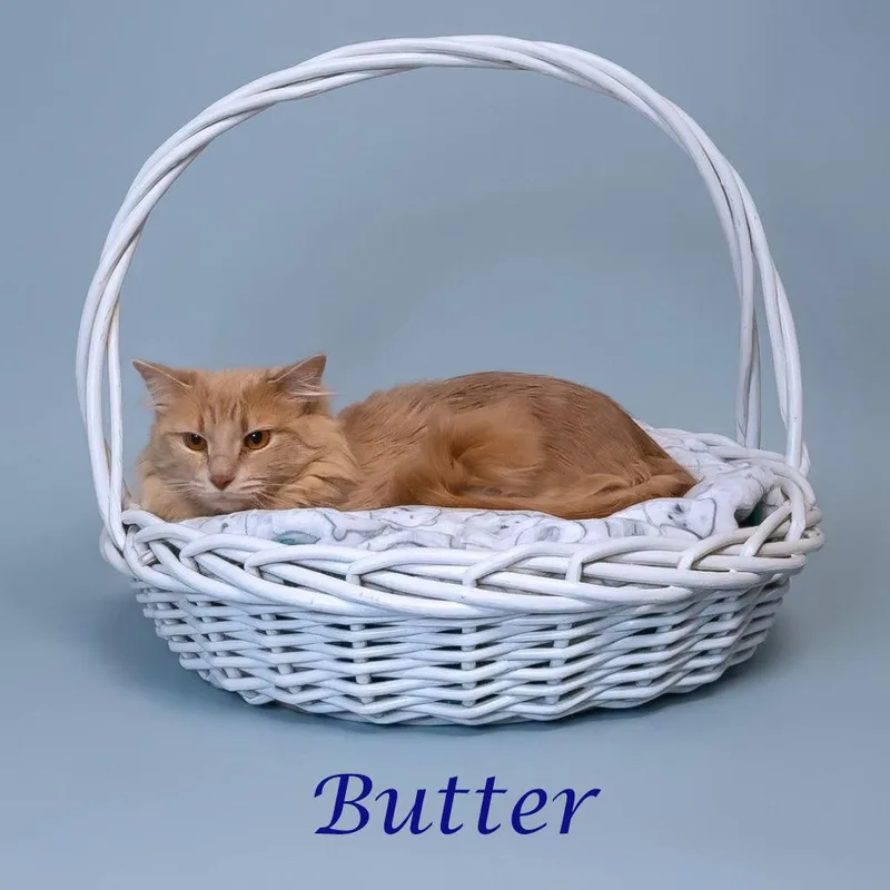 Butter C thumbnail 2