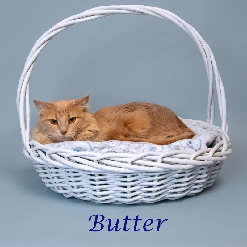 Butter C thumbnail 3
