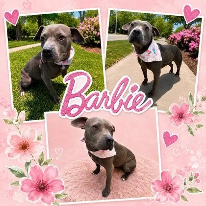 Barbie