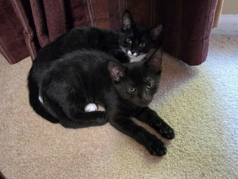 Teddy & Windy thumbnail 2