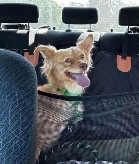 Ebenezer thumbnail 2