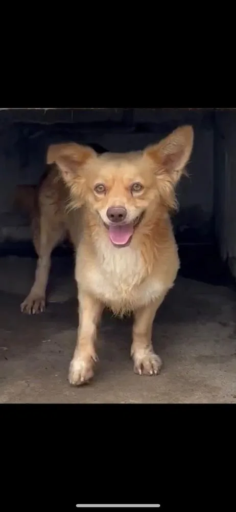 Ebenezer thumbnail 4