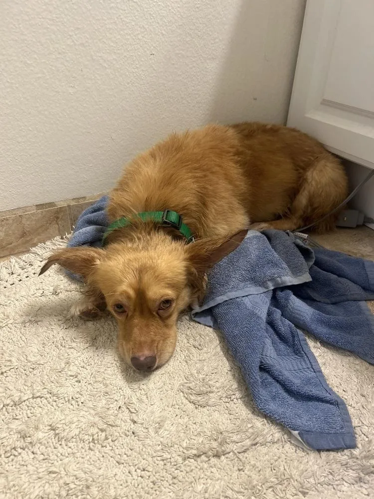 Ebenezer thumbnail 5