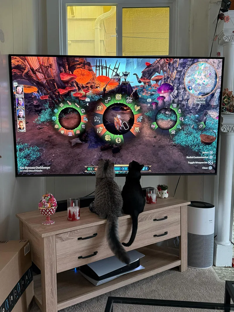 Flow And Graybie thumbnail 6